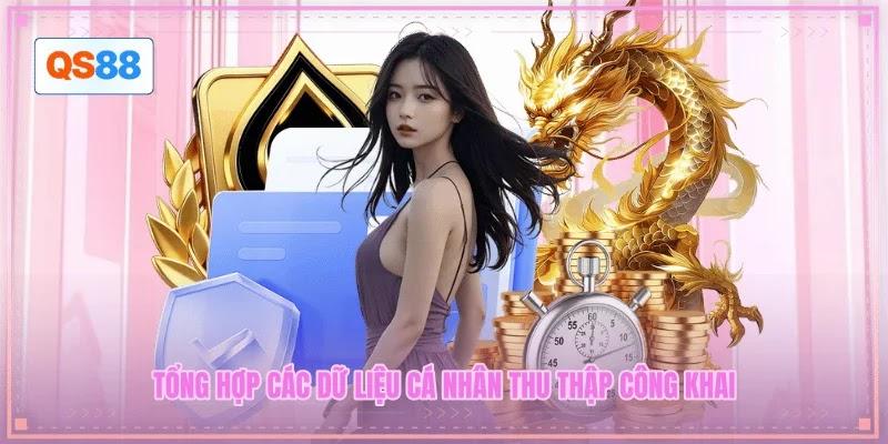 Tổng hợp các dữ liệu cá nhân thu thập công khai Tổng hợp các dữ liệu cá nhân thu thập công khai